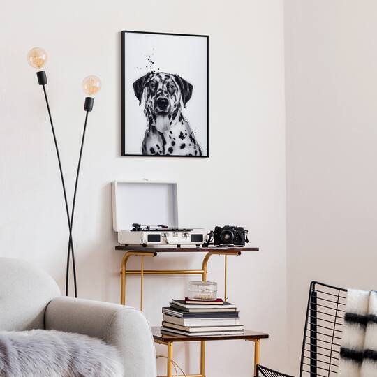 Empire Art Direct 24" x 18" Black & White Dalmatian Pet Wall Art Glass Black Frame